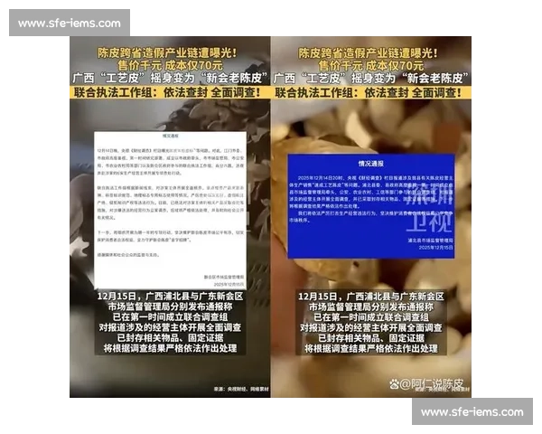 违规风波持续发酵牵出监管漏洞与行业信任危机调查问责全面展开
