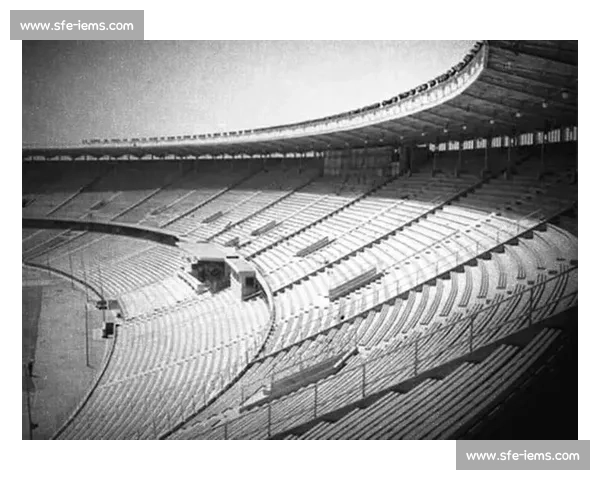 以看台文化为核心的城市体育精神与群体记忆研究传承发展路径探析